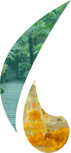 Virgule photos aldivia