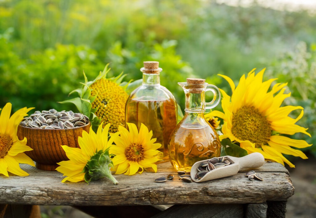 Petite table en extérieur avec des fleurs de tournesol, un bol de graines de tournesol et des flacons d'huile de tournesol