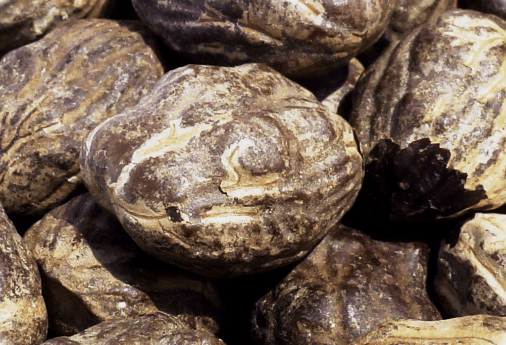 Photo de UBUNTU MONGONGO