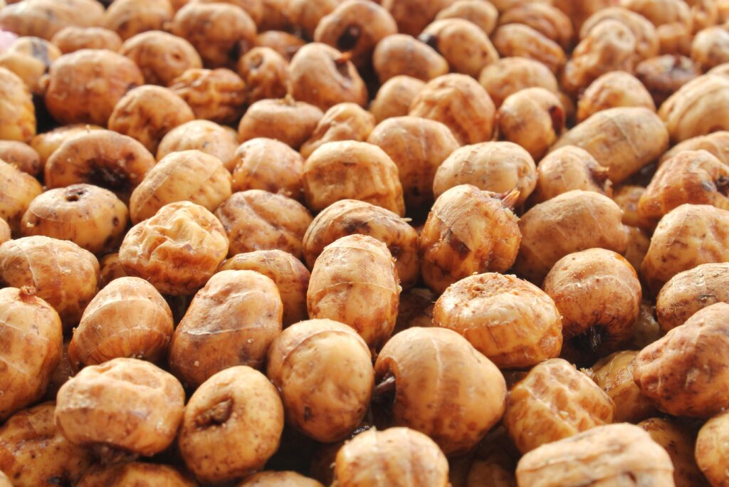 Très gros plan sur des graines de choufa
