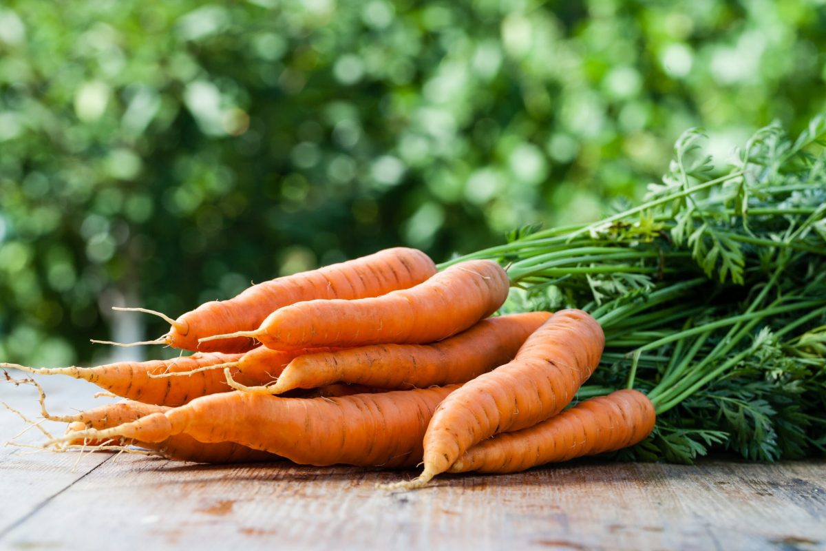 Botte de carottes posée sur une table