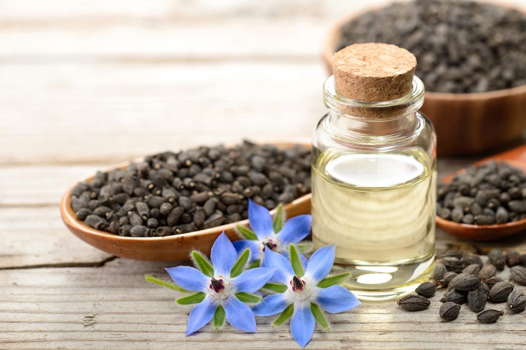 Borage oil in the glass bottle, with seeds and flowers