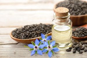 Borage oil in the glass bottle, with seeds and flowers