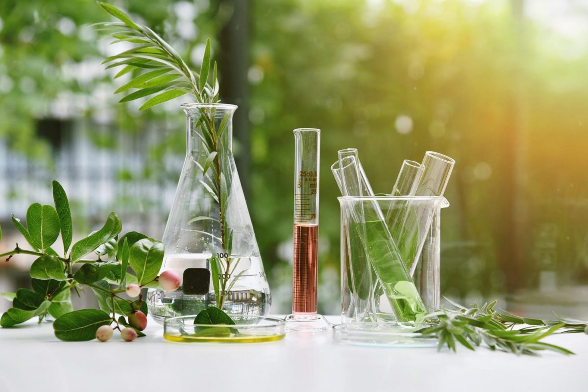 Laboratoire en extérieur illustrant la pratique de la chimie verte